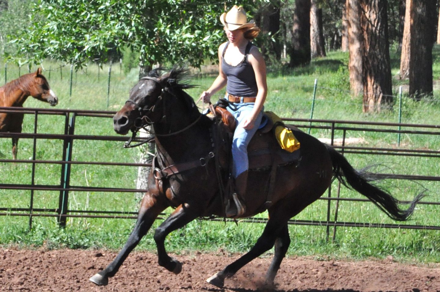Girl Riding Horseback